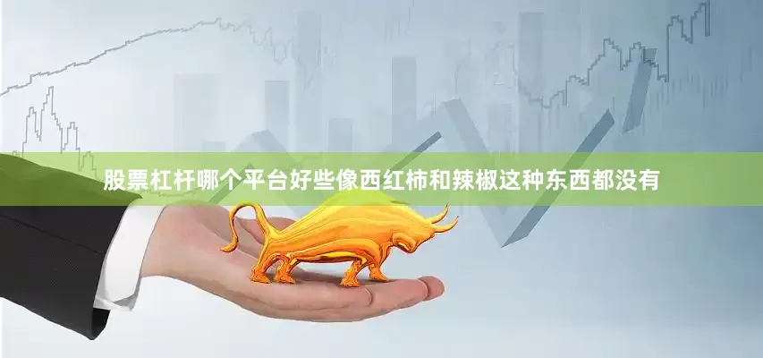 股票杠杆哪个平台好些像西红柿和辣椒这种东西都没有