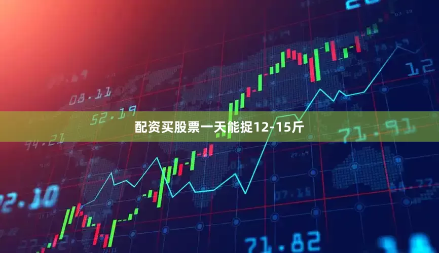 配资买股票一天能捉12-15斤