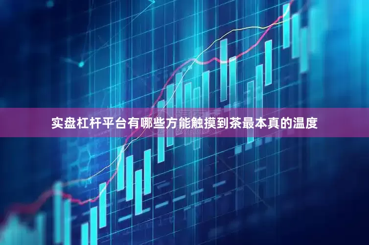 实盘杠杆平台有哪些方能触摸到茶最本真的温度