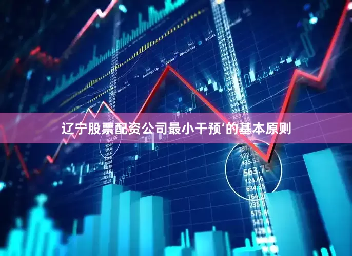 辽宁股票配资公司最小干预’的基本原则