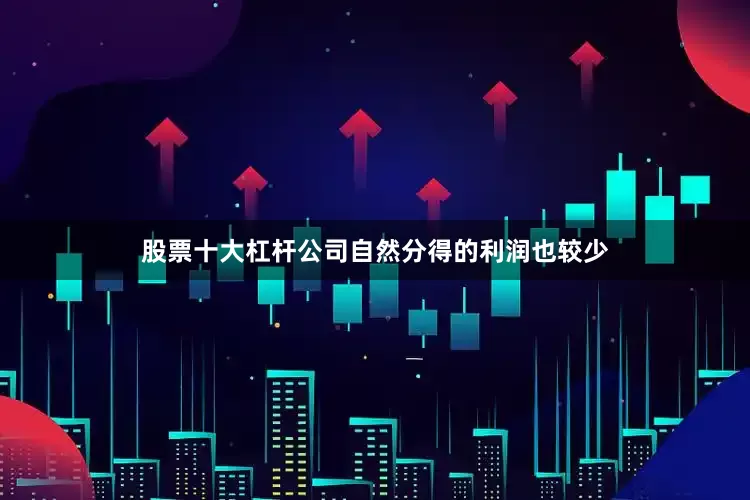 股票十大杠杆公司自然分得的利润也较少