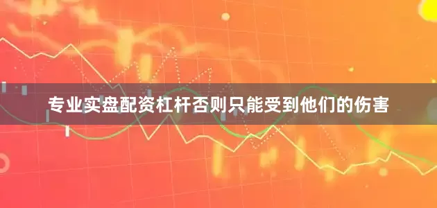 专业实盘配资杠杆否则只能受到他们的伤害