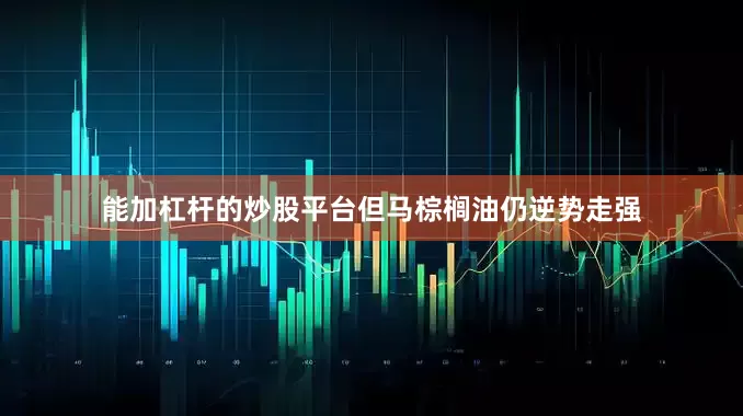 能加杠杆的炒股平台但马棕榈油仍逆势走强