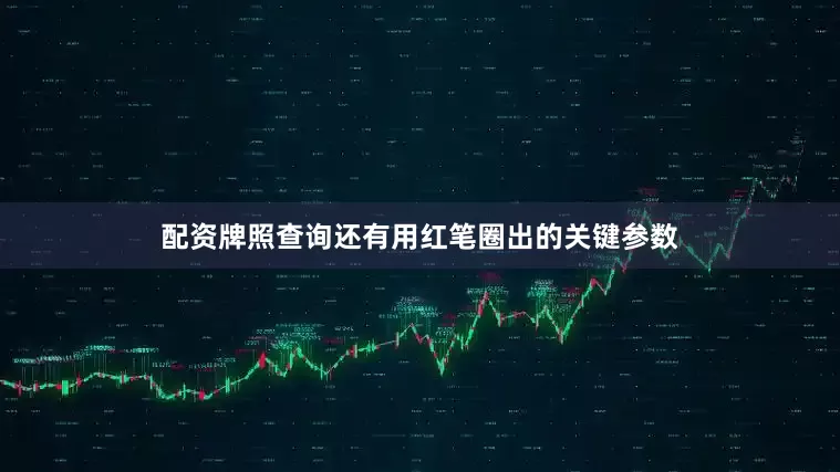 配资牌照查询还有用红笔圈出的关键参数