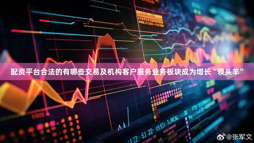 配资平台合法的有哪些交易及机构客户服务业务板块成为增长“领头羊”